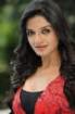 Vimala Raman Hot Photos